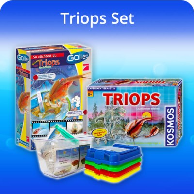 Triops bundles