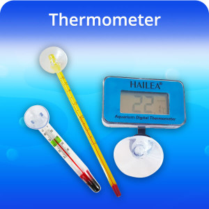 Thermometre