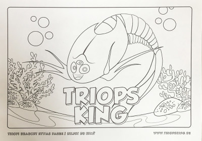 Our Brand new Triopi coloring template for Download - Our Brand new Triopi coloring template for Download