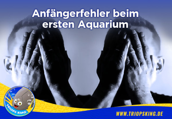 Anfängerfehler beim ersten Aquarium - Die größten Anfängerfehler beim ersten Aquarium | Hilfe von Triops King