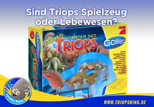 Are Triops toys or creatures? - Are Triops toys or creatures?