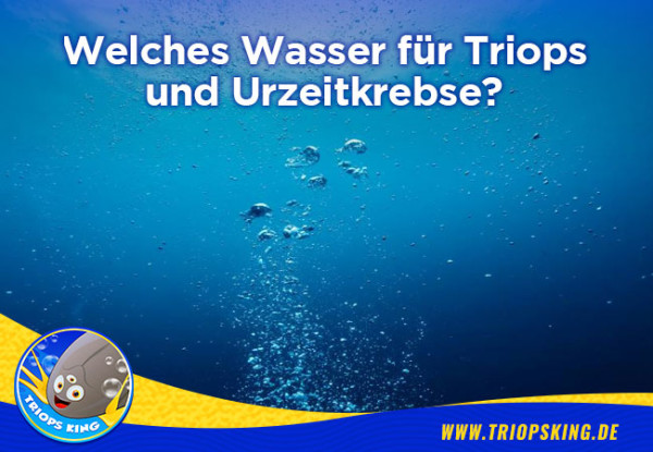 Welches Wasser für Triops und Urzeitkrebse? - Welches Wasser für Triops und Urzeitkrebse - Triopsking
