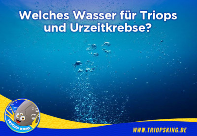 Which water for Triops and Tadpole Shrimp? - Which water for Triops and Tadpole Shrimp?
