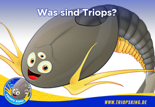 Was sind Triops? - Was sind eigentlich Triops? - Wissenswertes für Aquarianer