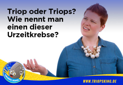 Triop oder Triops? Wie nennt man einen dieser Urzeitkrebse? - Triop oder Triops - Wie ist die richtige Bezeichnung? | Urzeitkrebse Ratgeber