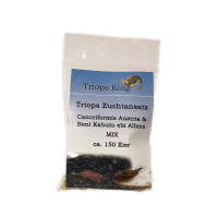 Triops Cancriformis Mix Zuchtansatz ca. 150 Eier