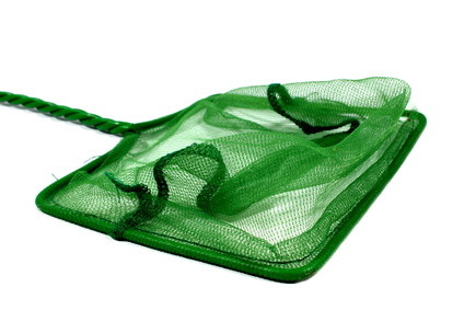 Fishnet - landing net - fishing net