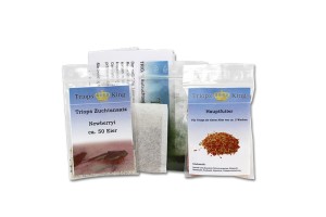 Triops Newberryi Tadpole Crevettes Starter Set Plus 1000 oeufs