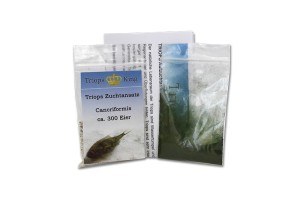 Triops Cancriformis Urzeitkrebse Starter Set 1000 Eier