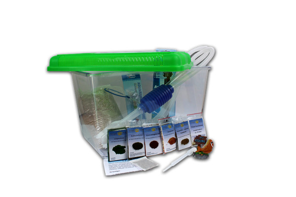 Triops Longicaudatus Komplett Set Advanced III 50 Eier Grün