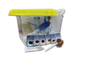 Triops Longicaudatus Komplett Set Advanced III 50 Eier Gelb