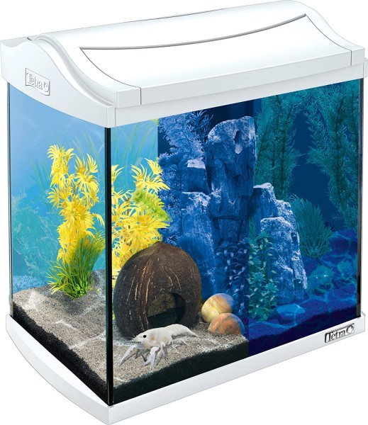 Ja Aziatisch genetisch Tetra AquaArt LED Set Shrimp white Aquarium 20 Liter, 89,99 €