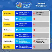 All in - 8 verschiedene Triops Longicaudatus Arten im Bundle